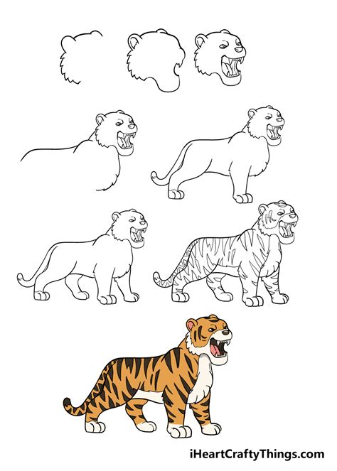 step by drawing a tiger.